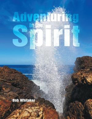 Cover of the book Adventuring In the Spirit by Tamiko Shimoyama, Masako Glushien