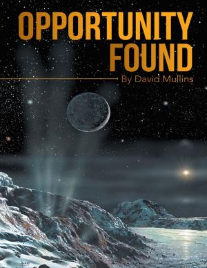 Cover of the book Opportunity Found by Richard Malone