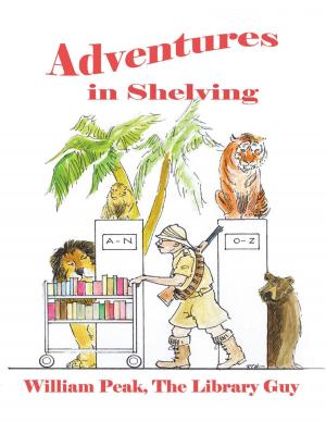 Cover of the book Adventures In Shelving by Bruce R. Olson