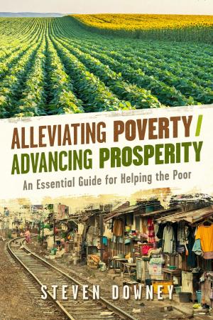 Cover of the book Alleviating Poverty/Advancing Prosperity by Professor Aidan Moran