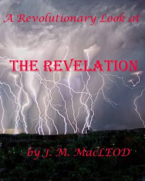 Cover of the book A Revolutionary Look At the Revelation by Simon Lovell