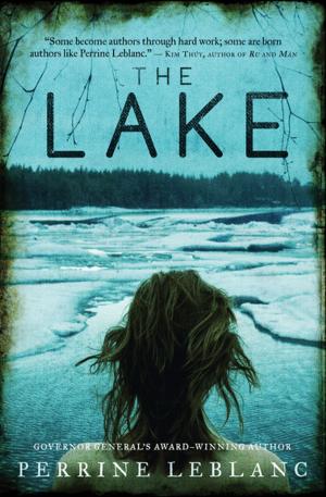 Cover of the book The Lake by Mireille Silcoff