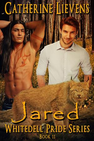 Cover of the book Jared by J.S. Frankel