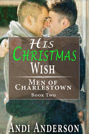 Cover of the book His Christmas Wish by A.J. Llewellyn, D.J. Manly