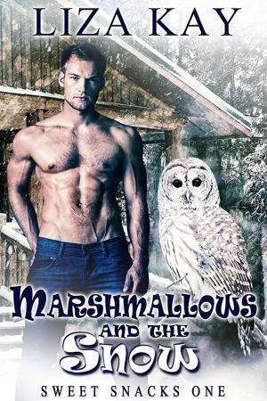 Cover of the book Marshmallows and the Snow by Derek Adams