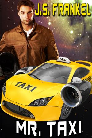 Cover of the book Mr. Taxi by Donna Del Oro