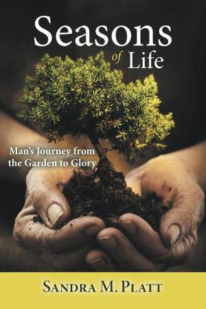 Cover of the book Seasons of Life by Tamika M. Brown