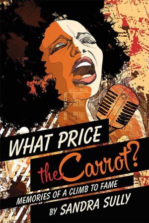 Cover of the book What Price the Carrot? by Johnny T Rockenstire