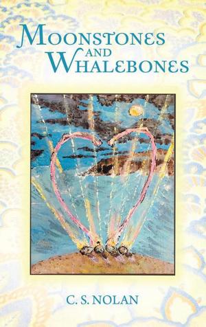Cover of the book Moonstones and Whalebones by J. A. Duffy
