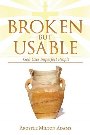 Cover of the book Broken but Usable by Janet Solander