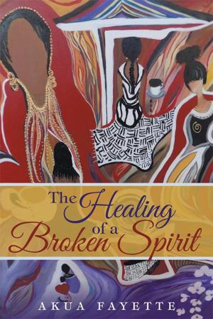 Cover of the book The Healing of a Broken Spirit by Tony lozzi