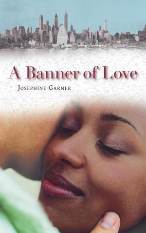 Cover of the book A Banner of Love by D. M. Lukas