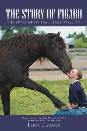 Cover of the book The Story of Figaro by The Rev. Sandy Honnold