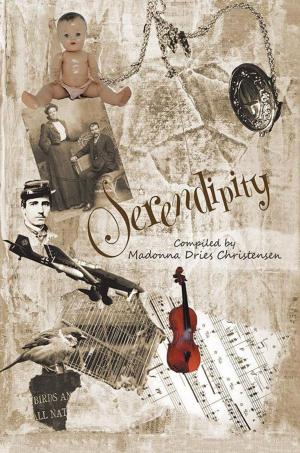 Cover of the book Serendipity by MM Jed