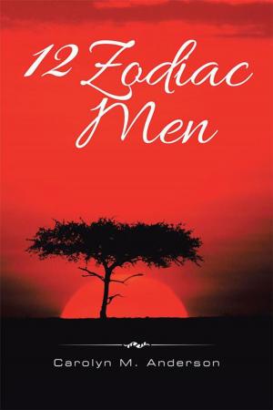 Cover of the book 12 Zodiac Men by Patricia Hilliard