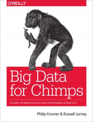 Cover of the book Big Data for Chimps by Silvia Puglisi