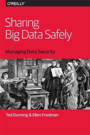 Cover of the book Sharing Big Data Safely by Mike Loukides