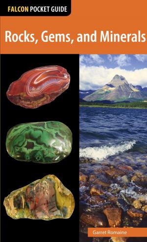 Cover of the book Rocks, Gems, and Minerals by Tracy Salcedo