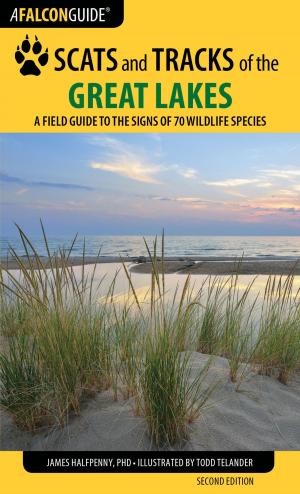 Cover of the book Scats and Tracks of the Great Lakes by Jim Meuninck