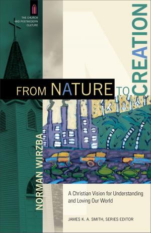 Cover of the book From Nature to Creation (The Church and Postmodern Culture) by Lorena McCourtney