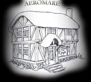 Cover of the book Aeromare by Debra Parmley