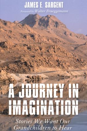 Cover of the book A Journey in Imagination by Christian Smith, John C. Cavadini