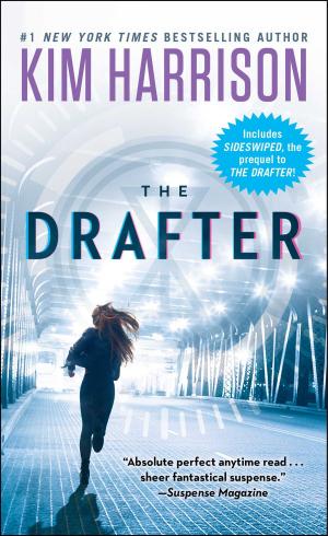 Cover of the book The Drafter by Sophie Littlefield