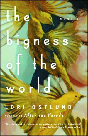 Cover of the book The Bigness of the World by Pamela Sherwood
