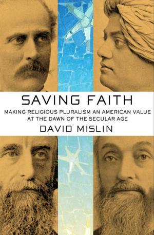 Cover of the book Saving Faith by Edward Kaplan