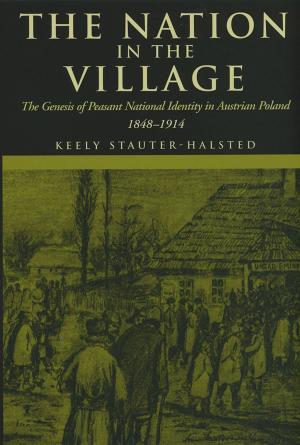 Cover of the book The Nation in the Village by John W. Budd