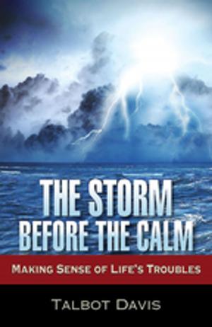 bigCover of the book The Storm Before the Calm by 