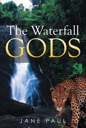 Cover of the book The Waterfall Gods by Tony Milkins