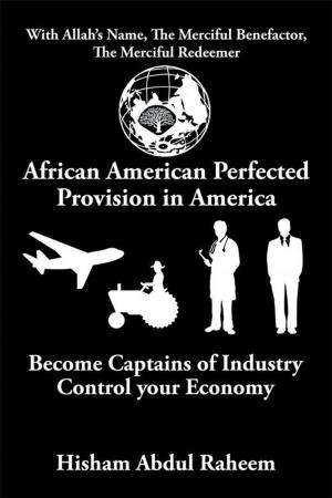 Cover of the book African American Perfected Provision in America by Makeitha Hughes Abdulbarr LCPC, Sharon E. Gatlin