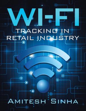 Cover of the book Wi-Fi Tracking in Retail Industry by Vinka Valdivia