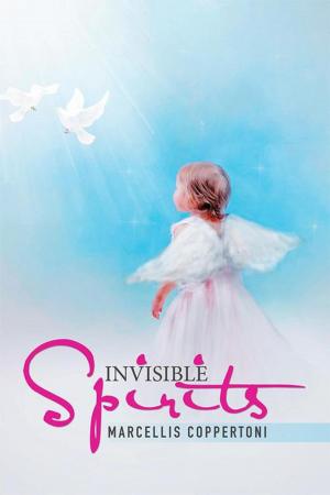 Cover of the book Invisible Spirits by Barbara Davis Slotnick
