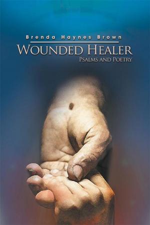 Cover of the book Wounded Healer by LUCY HORWITZ