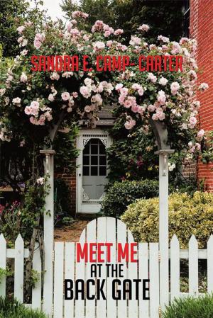 Cover of the book Meet Me at the Back Gate by Manish Kapoor