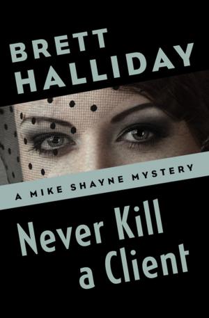 Cover of the book Never Kill a Client by John Jakes