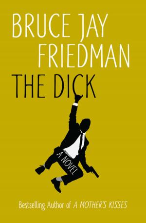 Cover of the book The Dick by Richard S. Prather