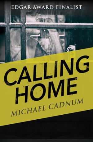 Cover of the book Calling Home by Paula Gunn Allen