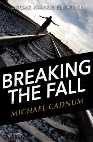 Cover of the book Breaking the Fall by Terry Southern