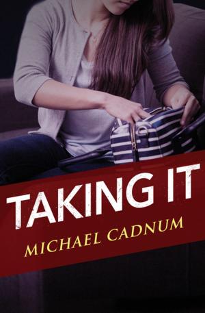 Cover of the book Taking It by Elizabeth Hand