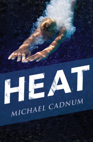 Cover of the book Heat by Amanda Scott