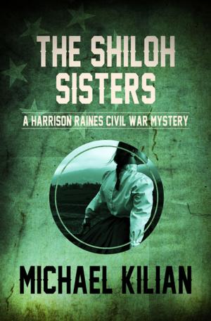 Cover of the book The Shiloh Sisters by David M. Delo