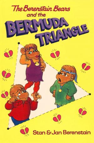 Cover of the book The Berenstain Bears and the Bermuda Triangle by Bill Pronzini