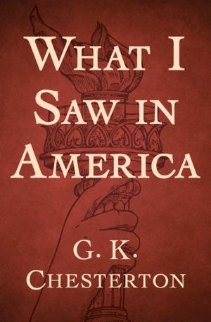 Cover of the book What I Saw in America by F. Scott Fitzgerald