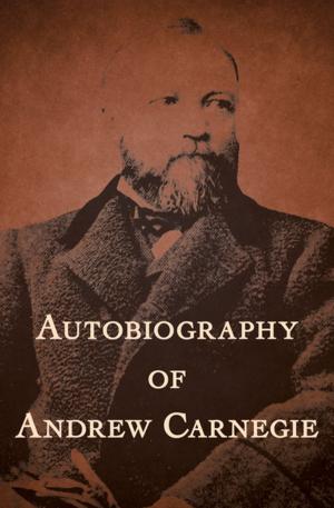 bigCover of the book Autobiography of Andrew Carnegie by 