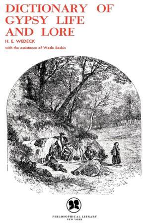 Cover of the book Dictionary of Gypsy Life and Lore by Henry Pratt Fairchild
