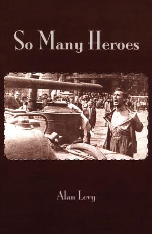 Cover of the book So Many Heroes by Victoria Jenkins