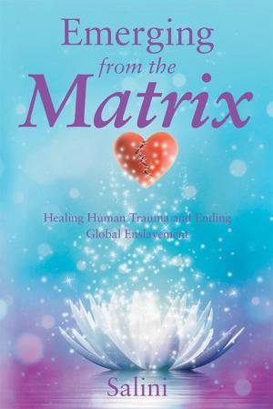 Cover of the book Emerging from the Matrix by Donna Lynn